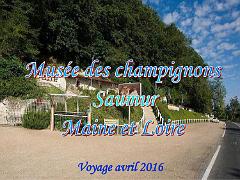 149 MUSEE DU CHAMPIGNON A  SAUMUR 2016